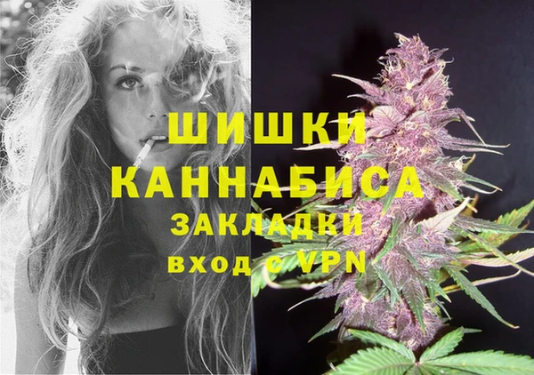 прущая мука Няндома