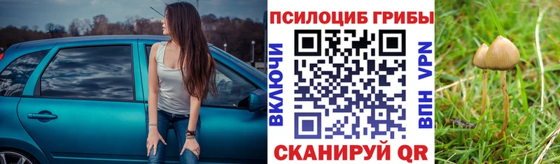 где купить наркоту  МЕГА как зайти  Псилоцибиновые грибы Magic Shrooms  Покровск 